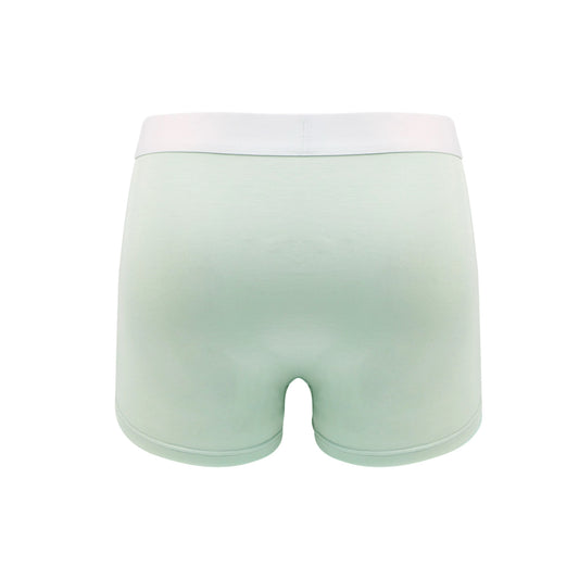 AKATE | Mint Green Boxer Briefs *PRE-ORDER*